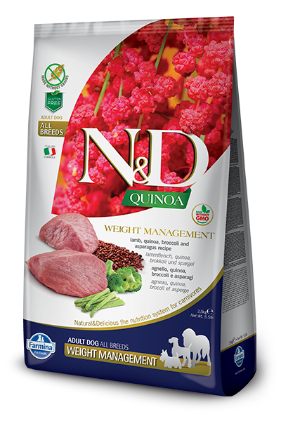 מזון יבש דיאטטי לכלבים בוגרים קטנים – כבש, קינואה וסיבים תומכים בעיכול ובעמידה במשקל מאוזן.