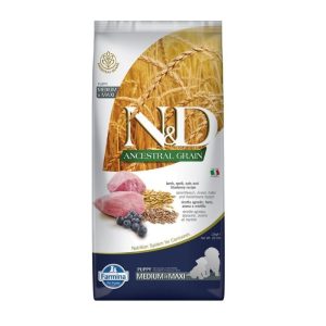 פורמולה לגורי גזעים קטנים-בינוניים עם כבש, דגנים ראשוניים, פירות טרופיים, תמיכה בשלד ועיכול – טבעית ומוקפדת.