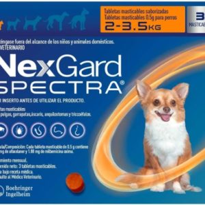 2-3.5-יחיד-450×393 2-3.5-יחיד-450×393