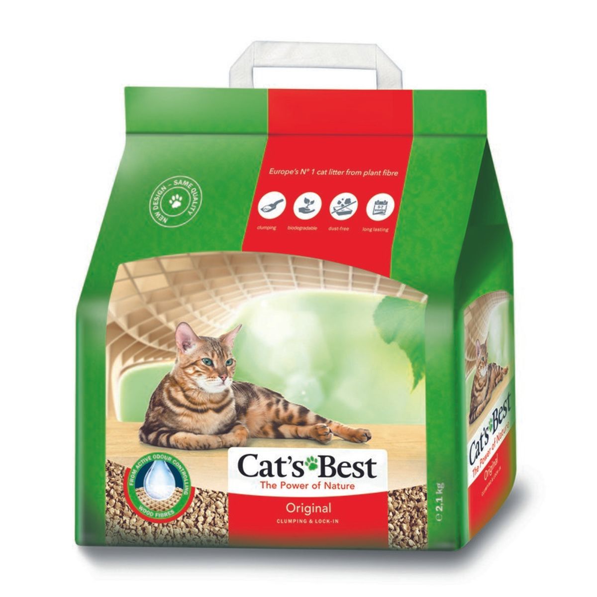 בסט קט 2.1 קג בסט קט 2.1 קג