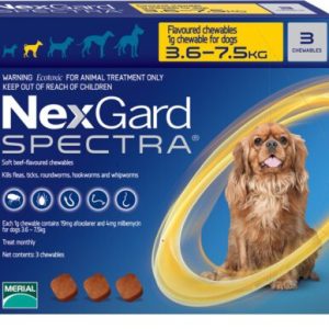 Nex_Gard_-3_7-450×388 Nex_Gard_-3_7-450×388