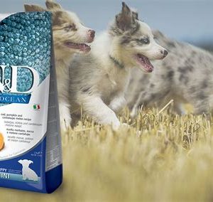 פורמולה לגורים קטנים עם חלבון דג, אומגה‑3 ופירות טבעיים – ללא דגנים, תומכת בגדילה, עור ופרווה בריאים. Sources