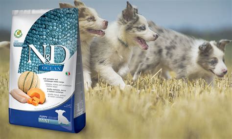 פורמולה לגורים קטנים עם חלבון דג, אומגה‑3 ופירות טבעיים – ללא דגנים, תומכת בגדילה, עור ופרווה בריאים. Sources