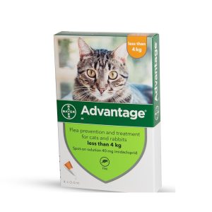 אדוונטג’ 40 חתול עד 4 קג Advantage
