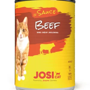 חתול שימור בקר