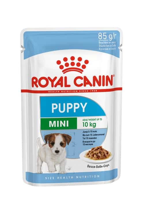 רויאל קנין גור כלב קטן Royal Canin