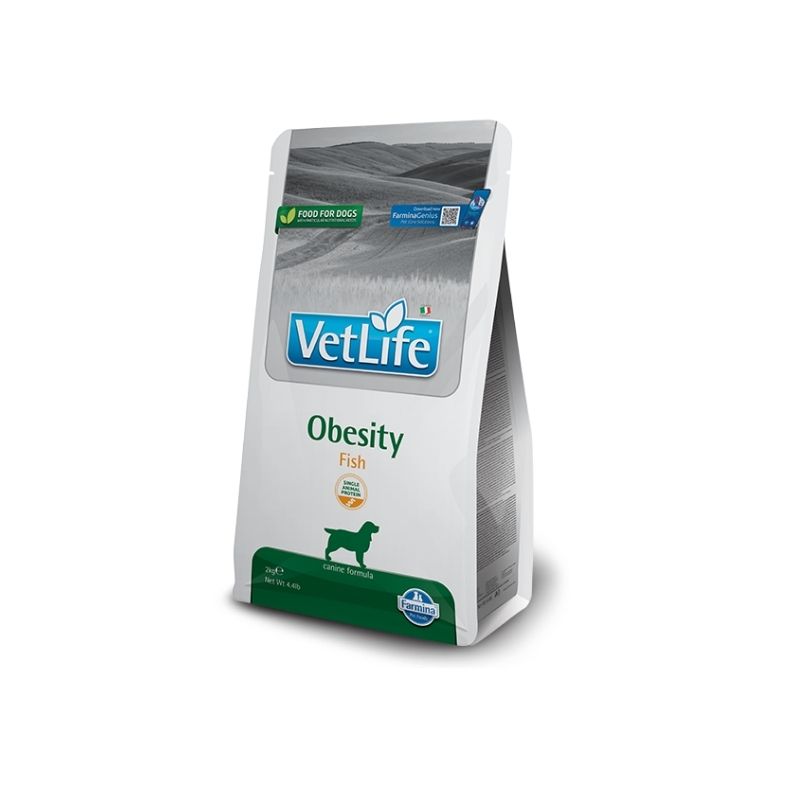 אובסיטי דג 2 קג אובסיטי דג 2 קג