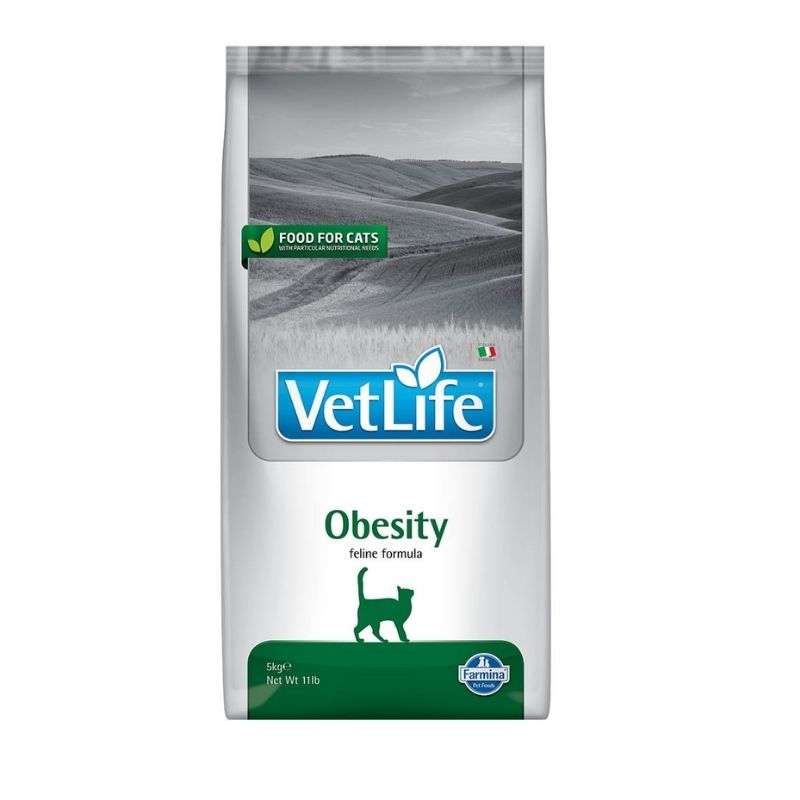 שק מזון יבש רפואי לחתולים להפחתת עודף משקל