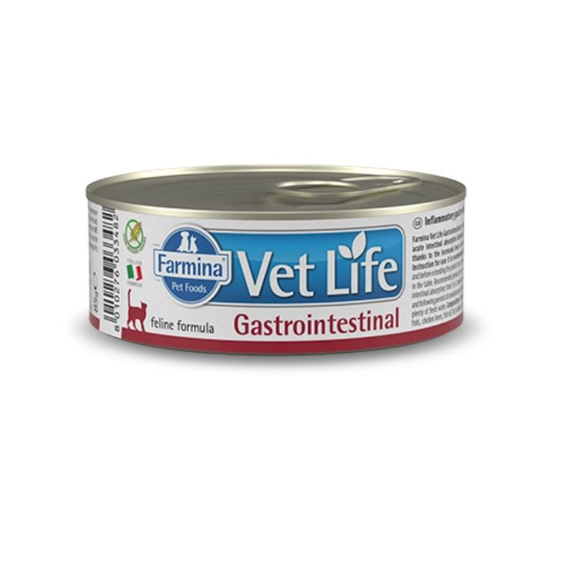 קופסת שימורים רפואית לחתולים עם בעיות עיכול וקיבה רגישה