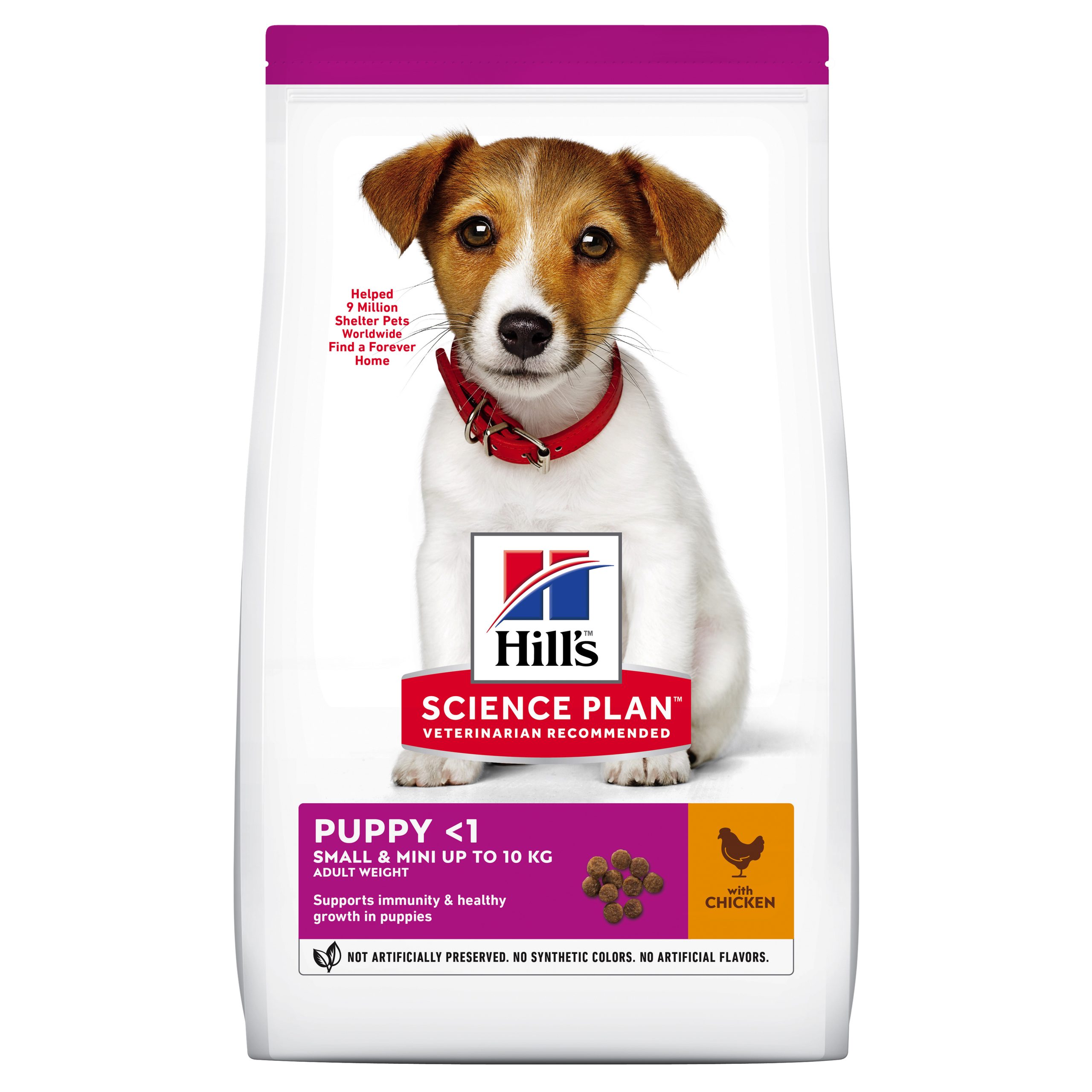 הילס גור כלב קטן עוף הילס גור כלב קטן עוף