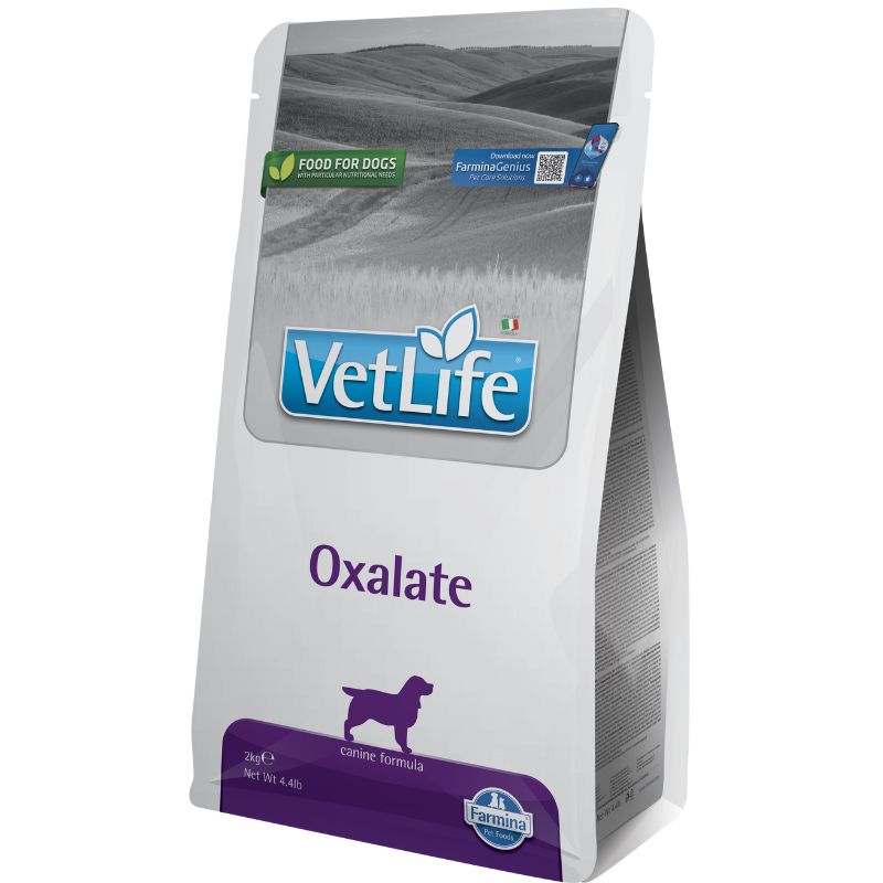 שק מזון יבש רפואי לכלבים למניעת אבני שתן מסוג אוקסלט