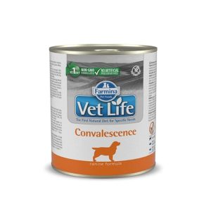 קופסת שימורים רפואית לחתולים להתאוששות לאחר מחלה או ניתוח