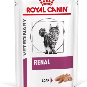 פאוץ' מזון רטוב לחתולים – שקית 85 גרם בצבע לבן עם פס ירוק ופס זהוב