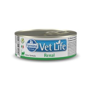 קופסת שימורים רפואית לחתולים לתמיכה בתפקוד כליות ובריאות יומיומית