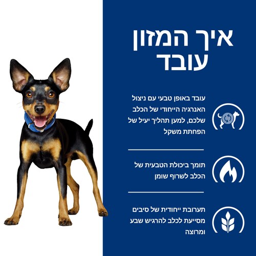 Hill’s Prescription Diet 6 kg Hill’s Prescription Diet 6 kg