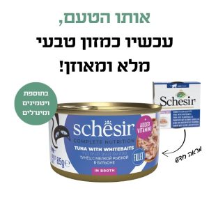 טונה ודגיגים בציר 2