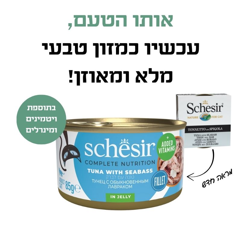 טונה ולברק 2