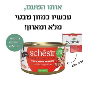 טונה ושרימפס 1
