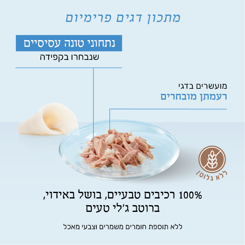 טונה עם רעמתן 4
