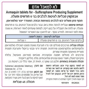 צתוסף אחורי צתוסף אחורי