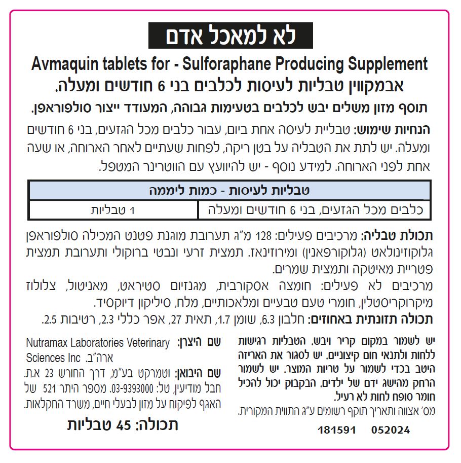 צתוסף אחורי צתוסף אחורי
